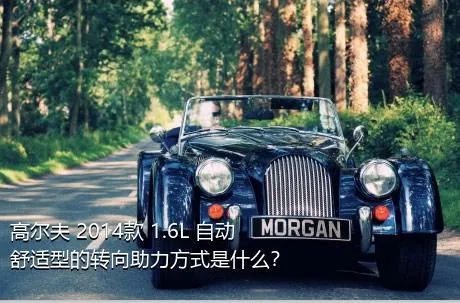 高尔夫 2014款 1.6L 自动舒适型的转向助力方式是什么？