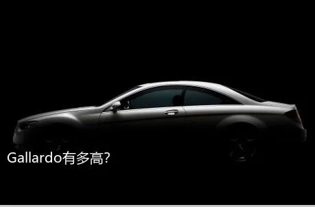 Gallardo有多高？