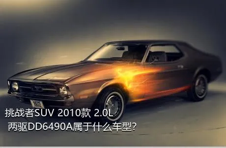 挑战者SUV 2010款 2.0L 两驱DD6490A属于什么车型？