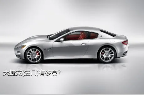 大捷龙(进口)有多高？