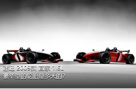 迷迪 2009款 宜家 1.6L 豪华型的轮胎是多大的？