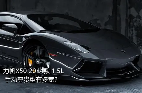 力帆X50 2014款 1.5L 手动尊贵型有多宽？