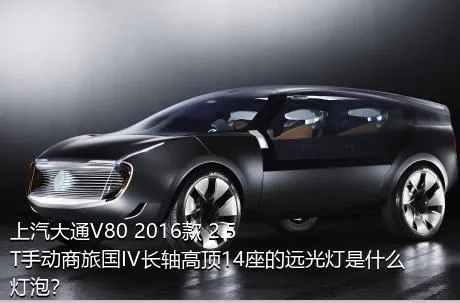 上汽大通V80 2016款 2.5T手动商旅国IV长轴高顶14座的远光灯是什么灯泡？