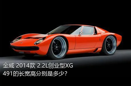 金威 2014款 2.2L创业型XG491的长宽高分别是多少？