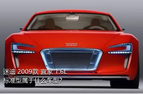 迷迪 2009款 宜家 1.6L 标准型属于什么车型？