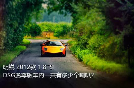 明锐 2012款 1.8TSI DSG逸尊版车内一共有多少个喇叭？