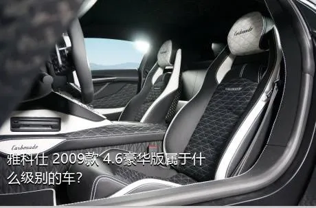 雅科仕 2009款 4.6豪华版属于什么级别的车？