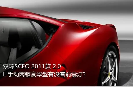 双环SCEO 2011款 2.0L 手动两驱豪华型有没有前雾灯？