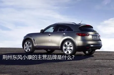 荆州东风小康的主营品牌是什么？