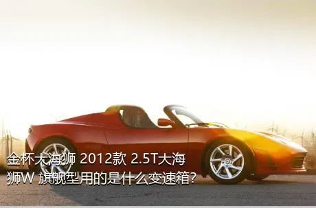 金杯大海狮 2012款 2.5T大海狮W 旗舰型用的是什么变速箱？