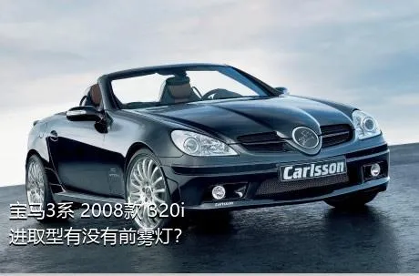 宝马3系 2008款 320i 进取型有没有前雾灯？