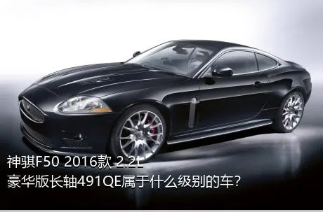 神骐F50 2016款 2.2L豪华版长轴491QE属于什么级别的车？