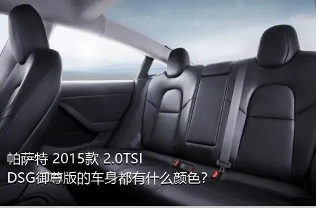 帕萨特 2015款 2.0TSI DSG御尊版的车身都有什么颜色？