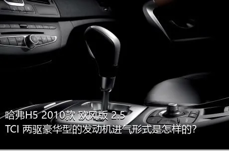 哈弗H5 2010款 欧风版 2.5TCI 两驱豪华型的发动机进气形式是怎样的？