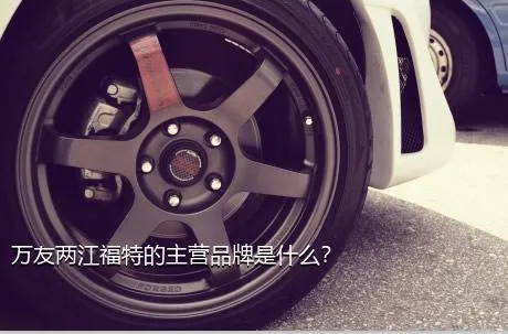 万友两江福特的主营品牌是什么？