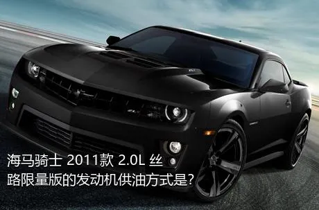 海马骑士 2011款 2.0L 丝路限量版的发动机供油方式是？