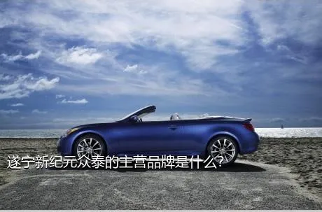 遂宁新纪元众泰的主营品牌是什么？