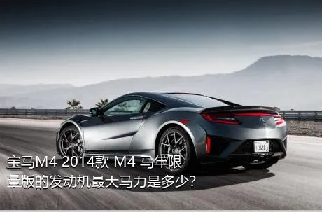 宝马M4 2014款 M4 马年限量版的发动机最大马力是多少？