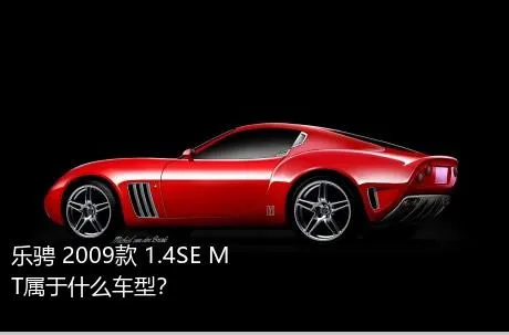 乐骋 2009款 1.4SE MT属于什么车型？