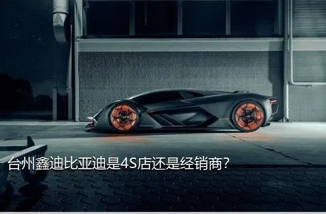 台州鑫迪比亚迪是4S店还是经销商？