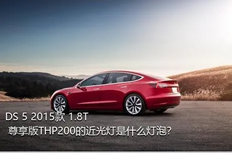 DS 5 2015款 1.8T 尊享版THP200的近光灯是什么灯泡？