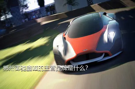 郴州御驰鑫诚的主营品牌是什么？
