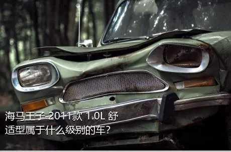 海马王子 2011款 1.0L 舒适型属于什么级别的车？