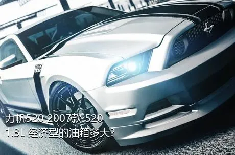 力帆520 2007款 520 1.3L 经济型的油箱多大？
