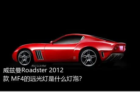 威兹曼Roadster 2012款 MF4的远光灯是什么灯泡？