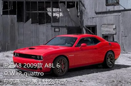 奥迪A8 2009款 A8L 6.0 W12 quattro 专享尊崇型属于什么车型？