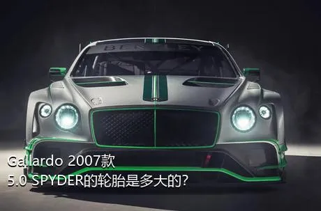 Gallardo 2007款 5.0 SPYDER的轮胎是多大的？