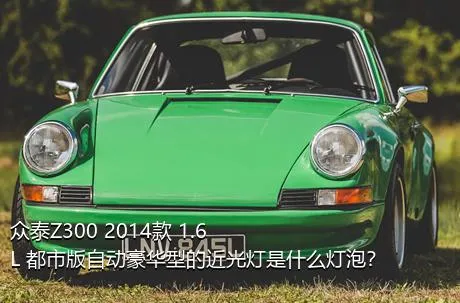 众泰Z300 2014款 1.6L 都市版自动豪华型的近光灯是什么灯泡？