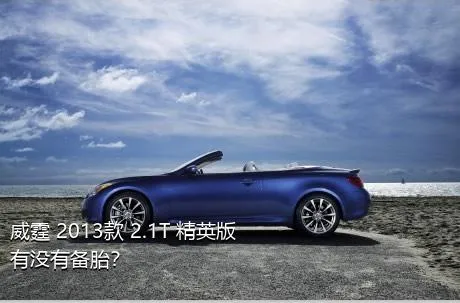 威霆 2013款 2.1T 精英版有没有备胎？