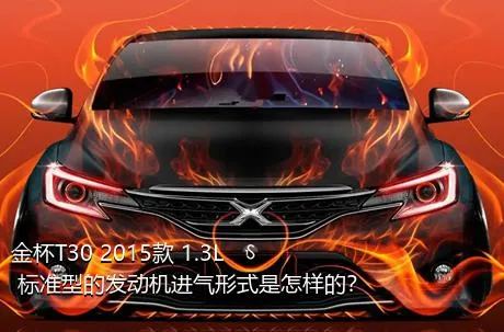 金杯T30 2015款 1.3L 标准型的发动机进气形式是怎样的？