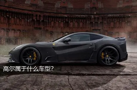 高尔属于什么车型？