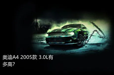 奥迪A4 2005款 3.0L有多高？