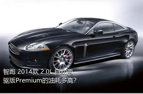 智跑 2014款 2.0L 自动两驱版Premium的油耗多高？