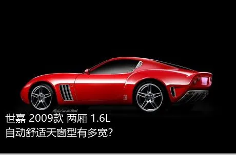 世嘉 2009款 两厢 1.6L 自动舒适天窗型有多宽？