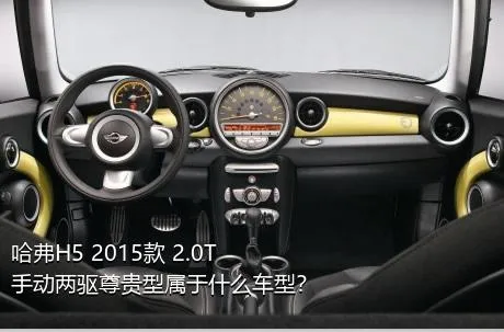 哈弗H5 2015款 2.0T 手动两驱尊贵型属于什么车型？