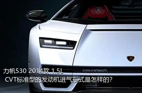 力帆530 2014款 1.5L CVT标准型的发动机进气形式是怎样的？