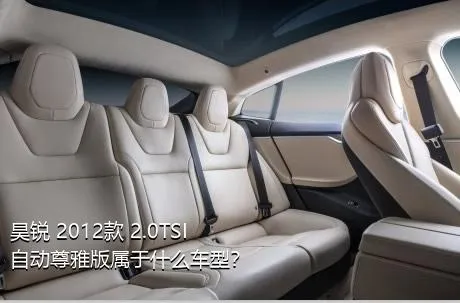 昊锐 2012款 2.0TSI 自动尊雅版属于什么车型？