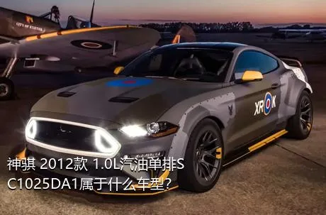 神骐 2012款 1.0L汽油单排SC1025DA1属于什么车型？