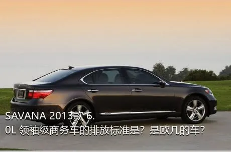 SAVANA 2013款 6.0L 领袖级商务车的排放标准是？是欧几的车？