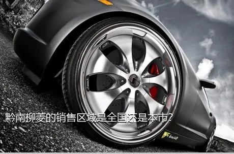 黔南柳菱的销售区域是全国还是本市？