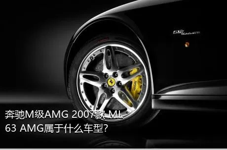 奔驰M级AMG 2007款 ML 63 AMG属于什么车型？