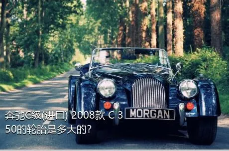 奔驰C级(进口) 2008款 C 350的轮胎是多大的？