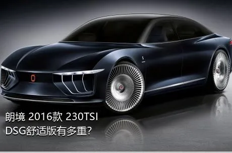 朗境 2016款 230TSI DSG舒适版有多重？