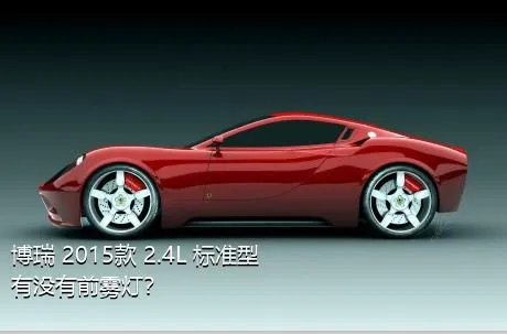博瑞 2015款 2.4L 标准型有没有前雾灯？