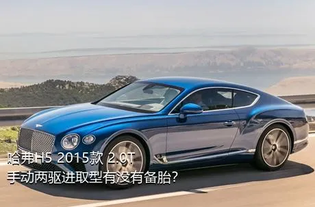 哈弗H5 2015款 2.0T 手动两驱进取型有没有备胎？