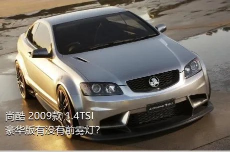 尚酷 2009款 1.4TSI 豪华版有没有前雾灯？